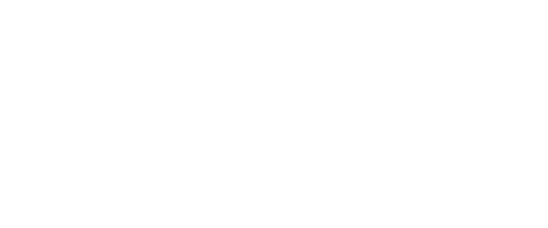 BeetleBeetle