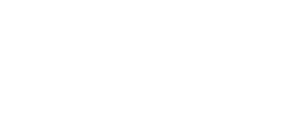 EchoAI